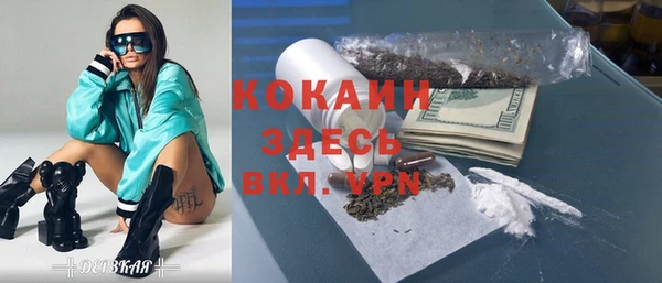 сатива Белокуриха
