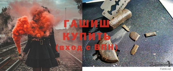 сатива Белокуриха