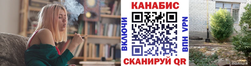 Бошки марихуана сатива  Дальнегорск 
